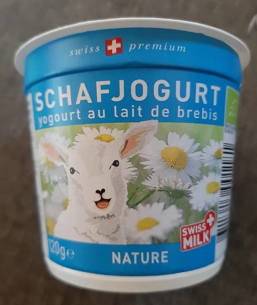 Yogourt au lait de brebis