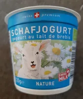 Yogourt au lait de brebis