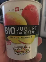 Yaourt Mangue Bio