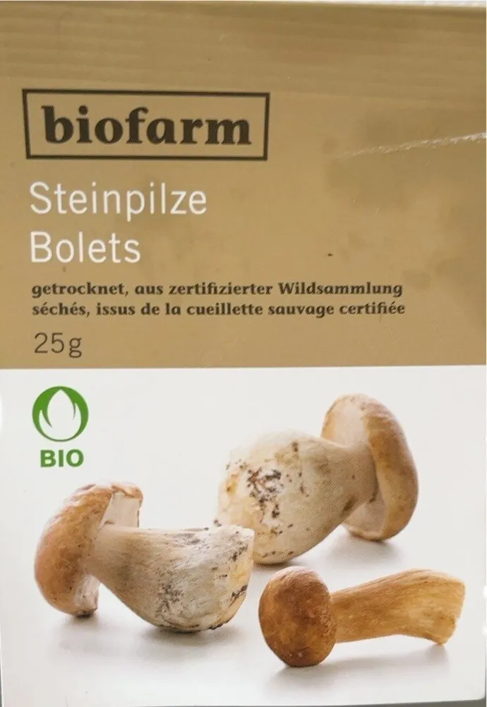 Steinpilze