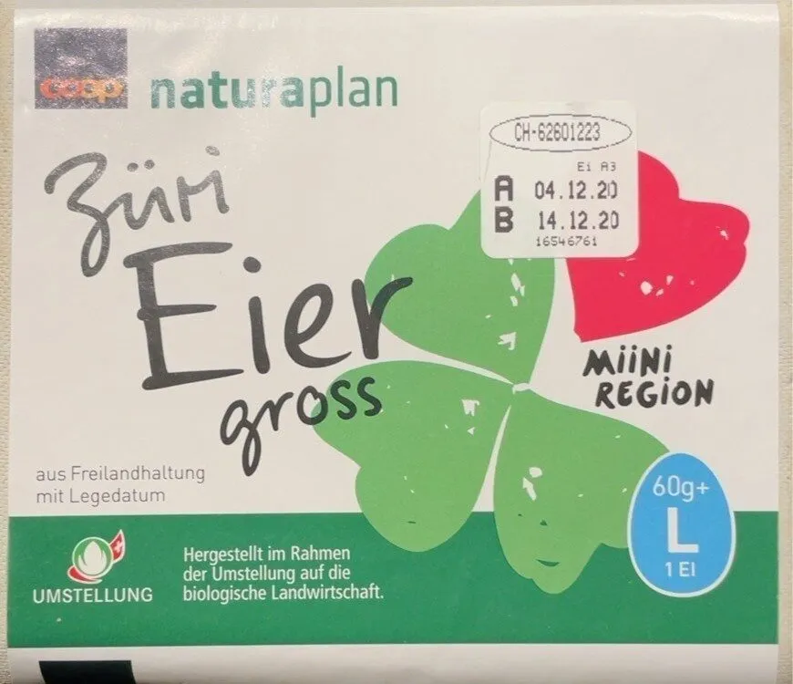 Züri Eier gross