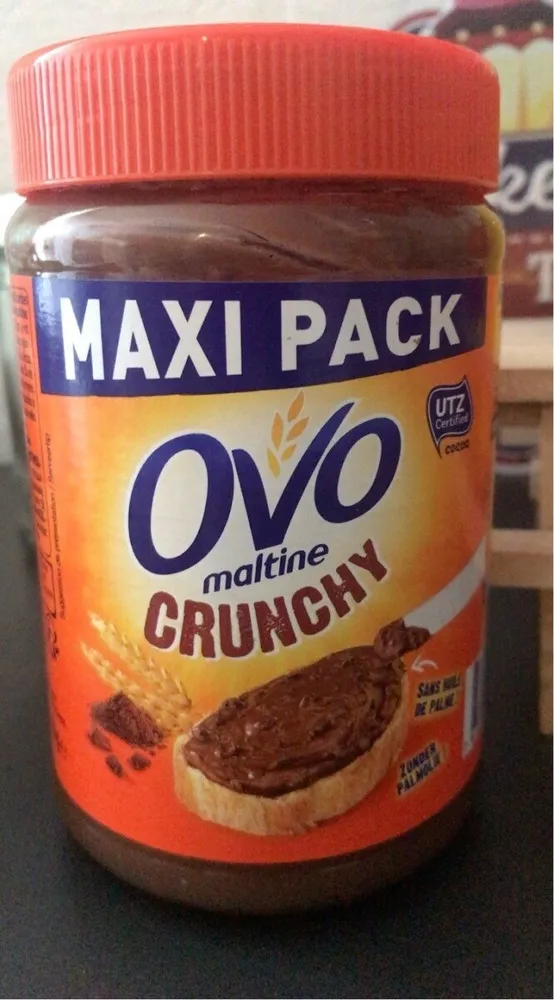 Chocolat en poudre