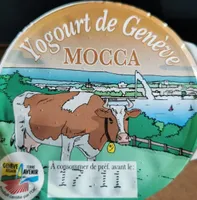 Yogourt Mocca