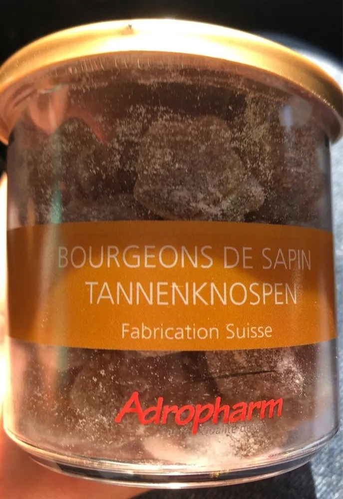 Bourgeons de sapin