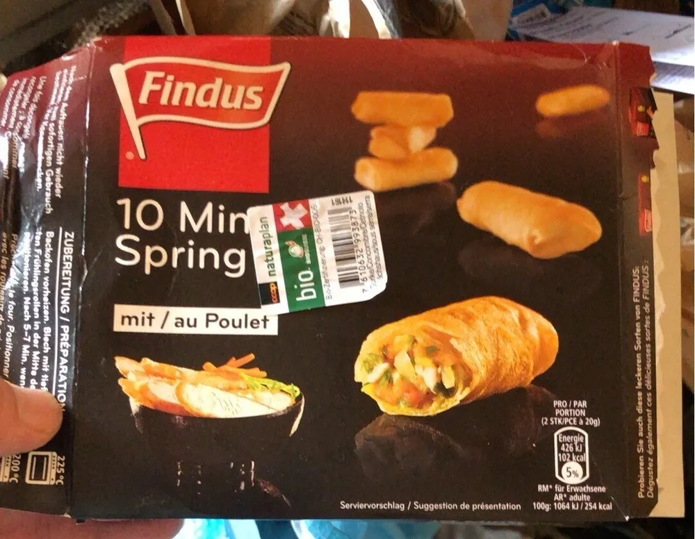 10 min spring roll