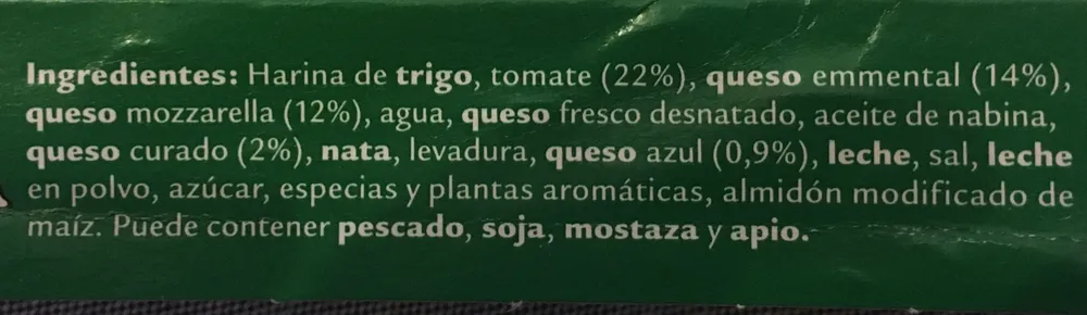 Pizza quesos con emmental mozzarella gorgonzola y queso curado