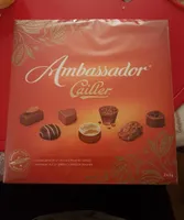 Ambassador