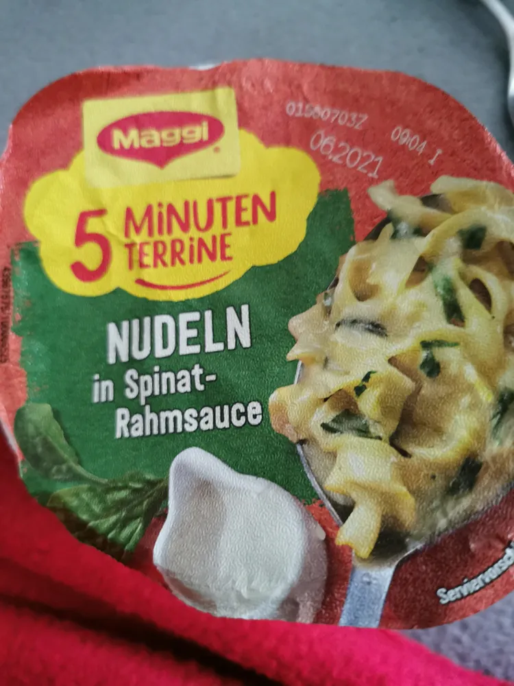 5 Minuten Terrine Nudeln in Spinat-Rahmsauce