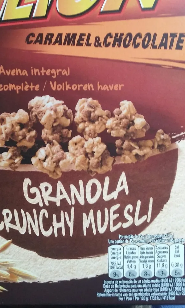 Granola Lion Con Avena Néstle 300G