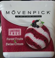 Creme glacée et sorbet baies des bois