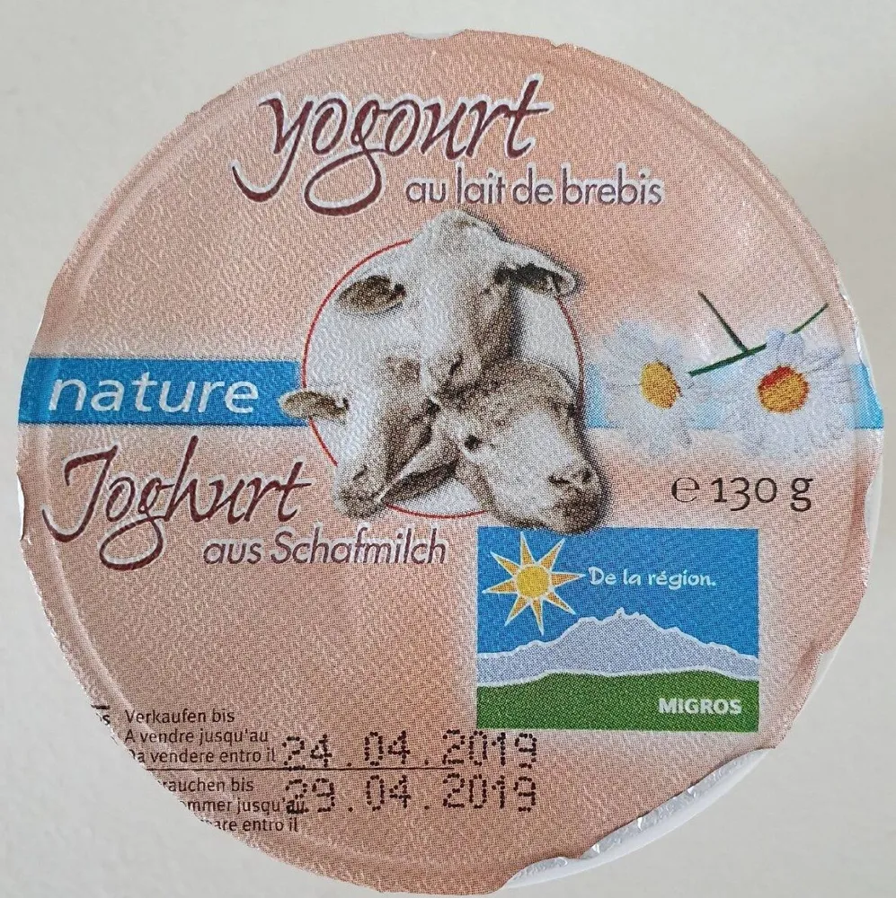 Yogourt au lait de brebis nature