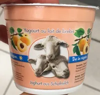 Yogourt au lait de brebis abricot