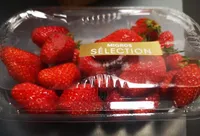 Fraise Garigette