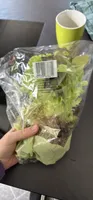 Triosalat
