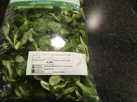 Nüsslisalat, Konsumfertig Gewaschen