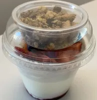 Yoghourt croquant chocolat baies des bois