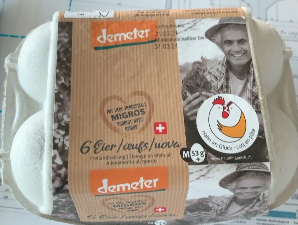 Eier Freilandhaltung