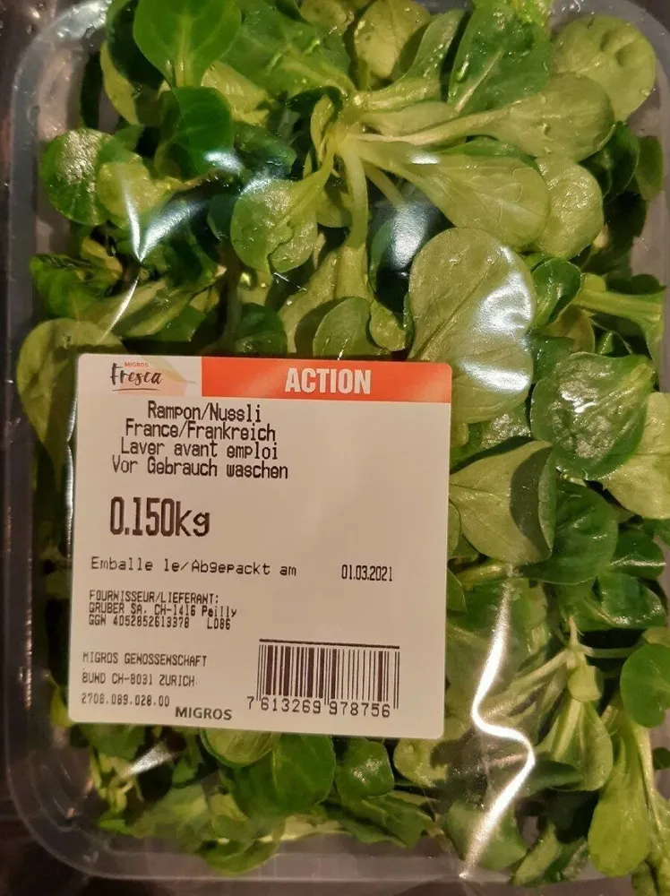 nüsslisalat