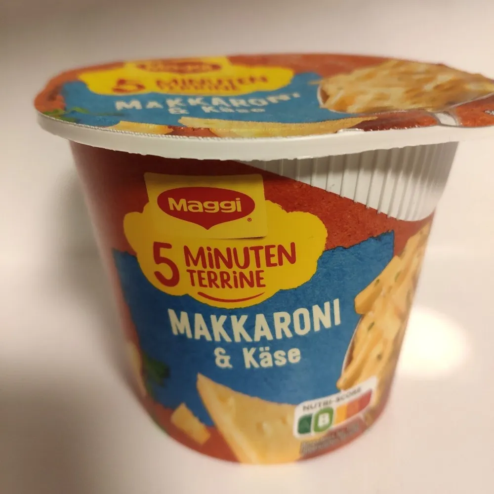 5 Minutenterrine Makkaroni Käse