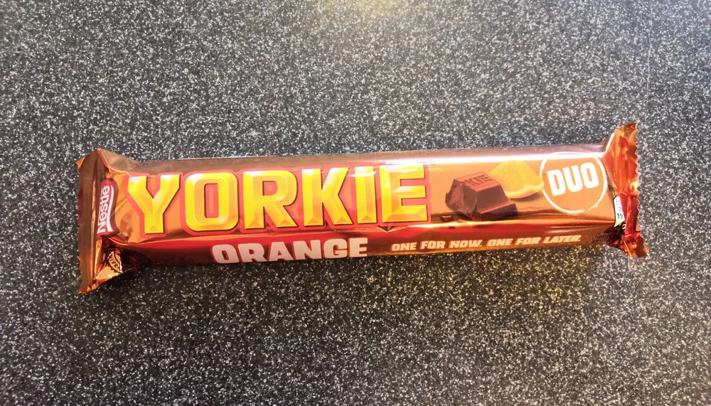 Yorkie Orange Duo