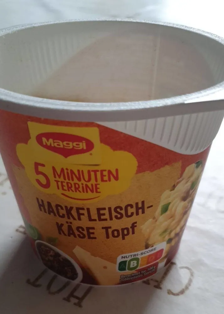 5 Minuten Terrine Hackfleisch Käse Topf