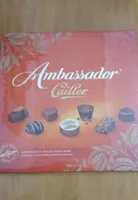 Ambassador