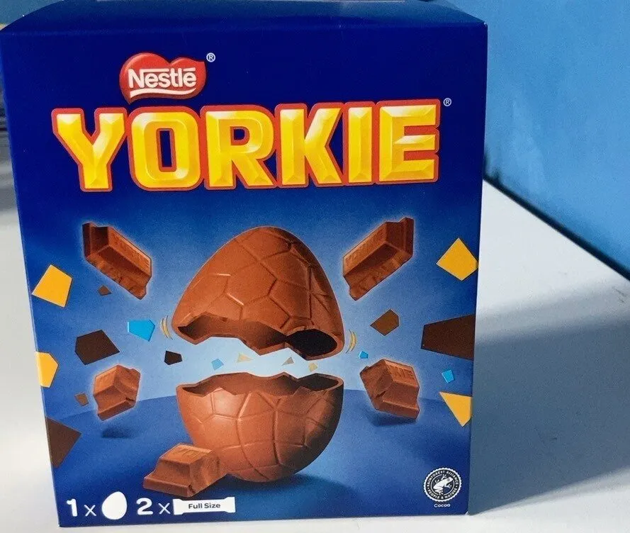 Yorkie egg