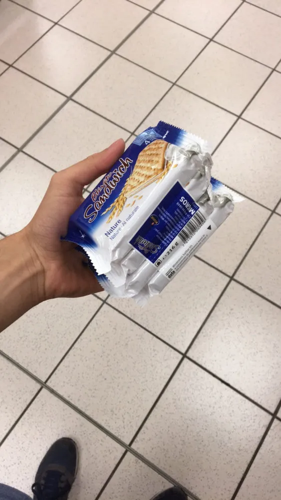 Sandwich Nature