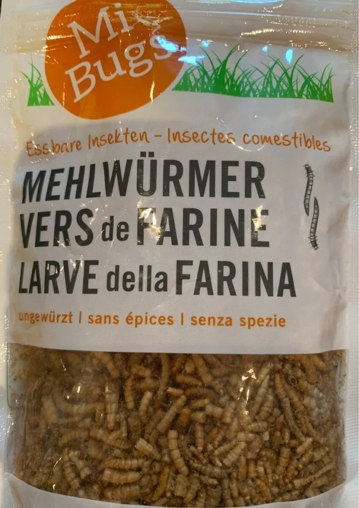 Vers de farine