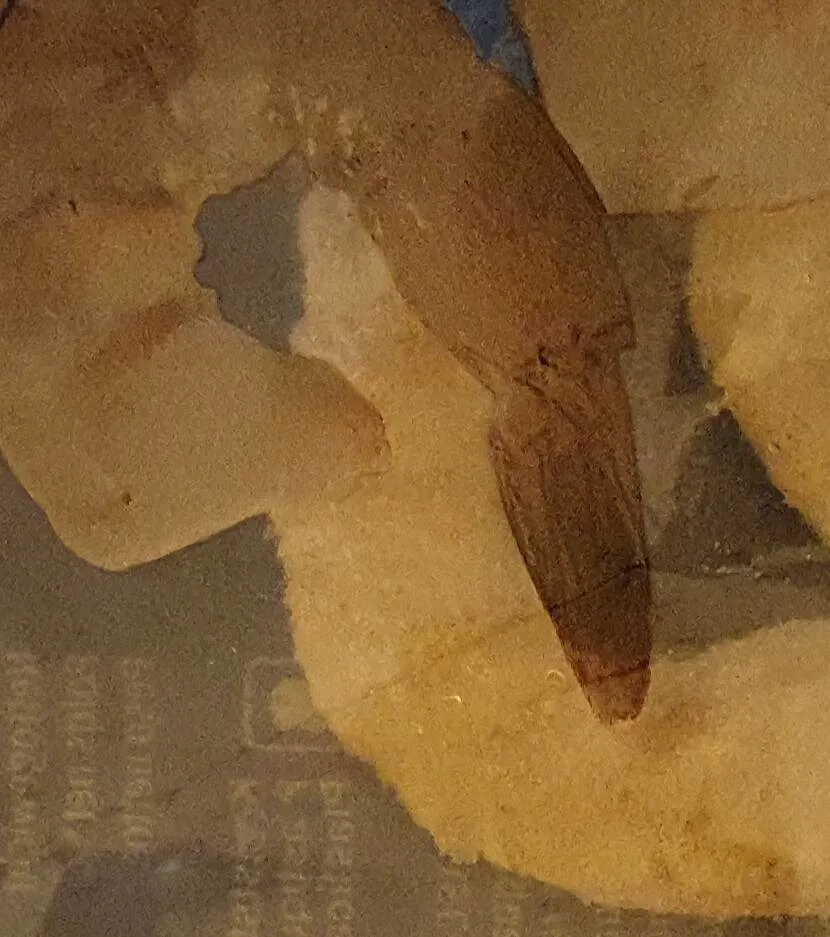 Pacifi prawns tail-on