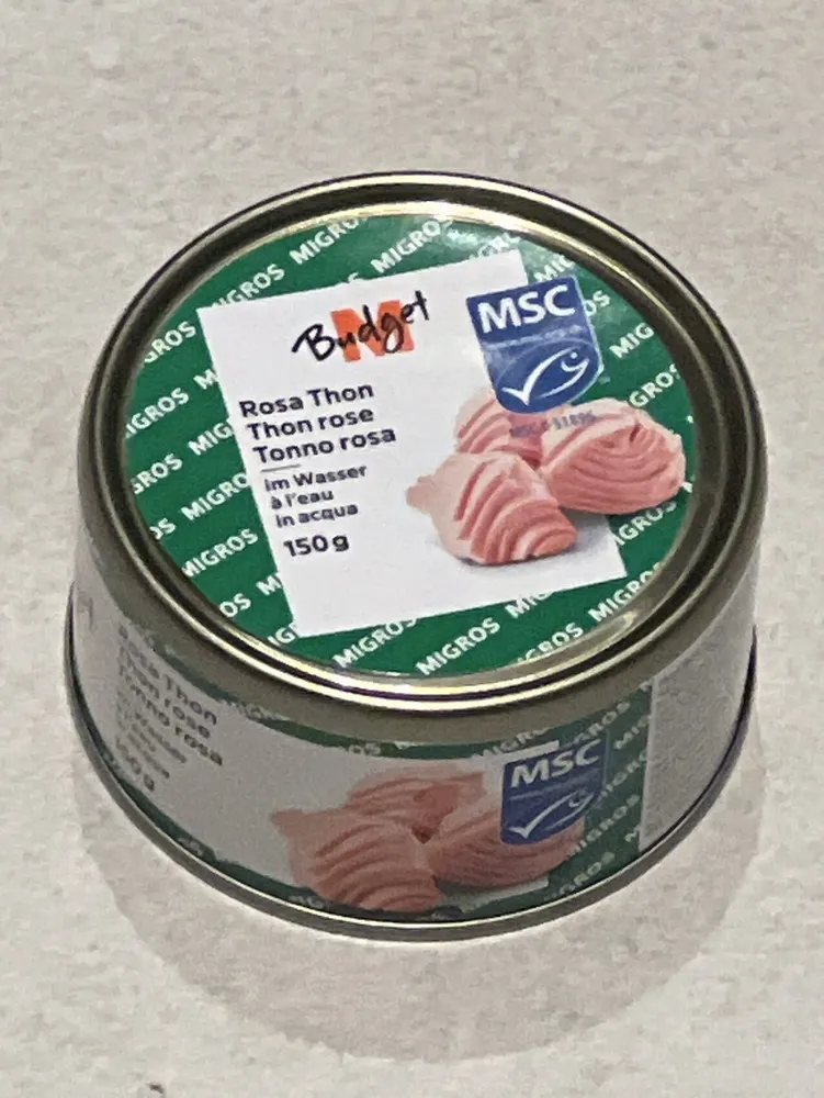 Rosa Thon