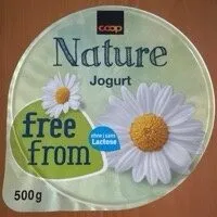 Yogurt nature