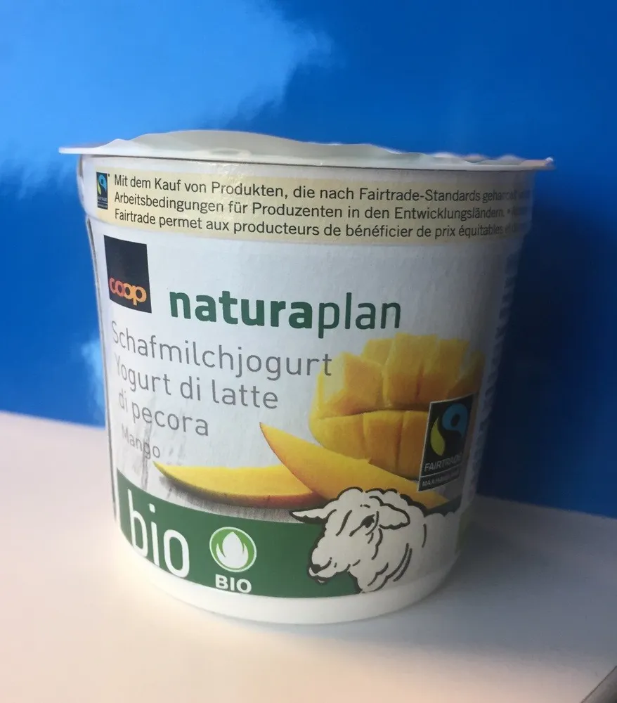 Yogourt au lait de bebris Mangue