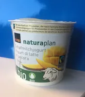Yogourt au lait de bebris Mangue