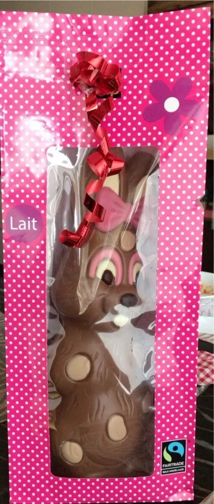 Lapin chocolat de Pâques