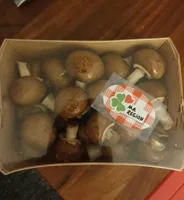 Champignon bruns