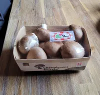 Champignons bruns Suisse
