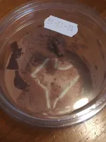 Mousse chocolat Migros