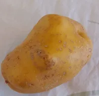 Kartoffeln