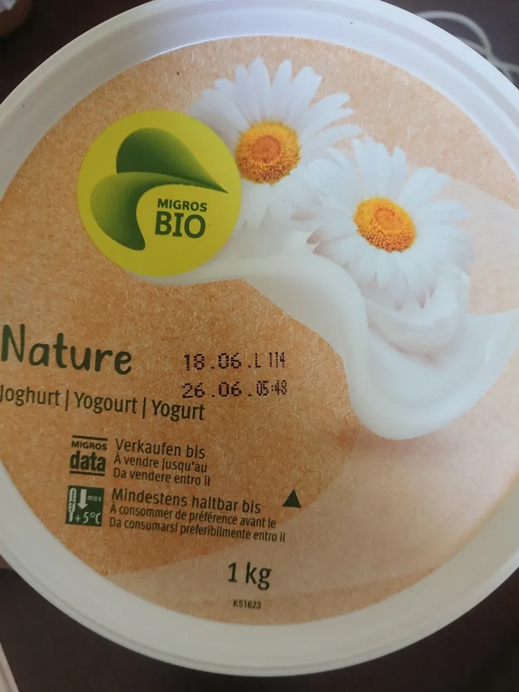 Nature yogourt