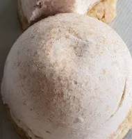 BOULE A LA CANELLE PRUNEAU