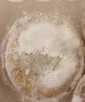 Mini tartelettes de Paques