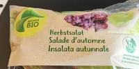 Herbstsalat