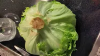 Eisbergsalat