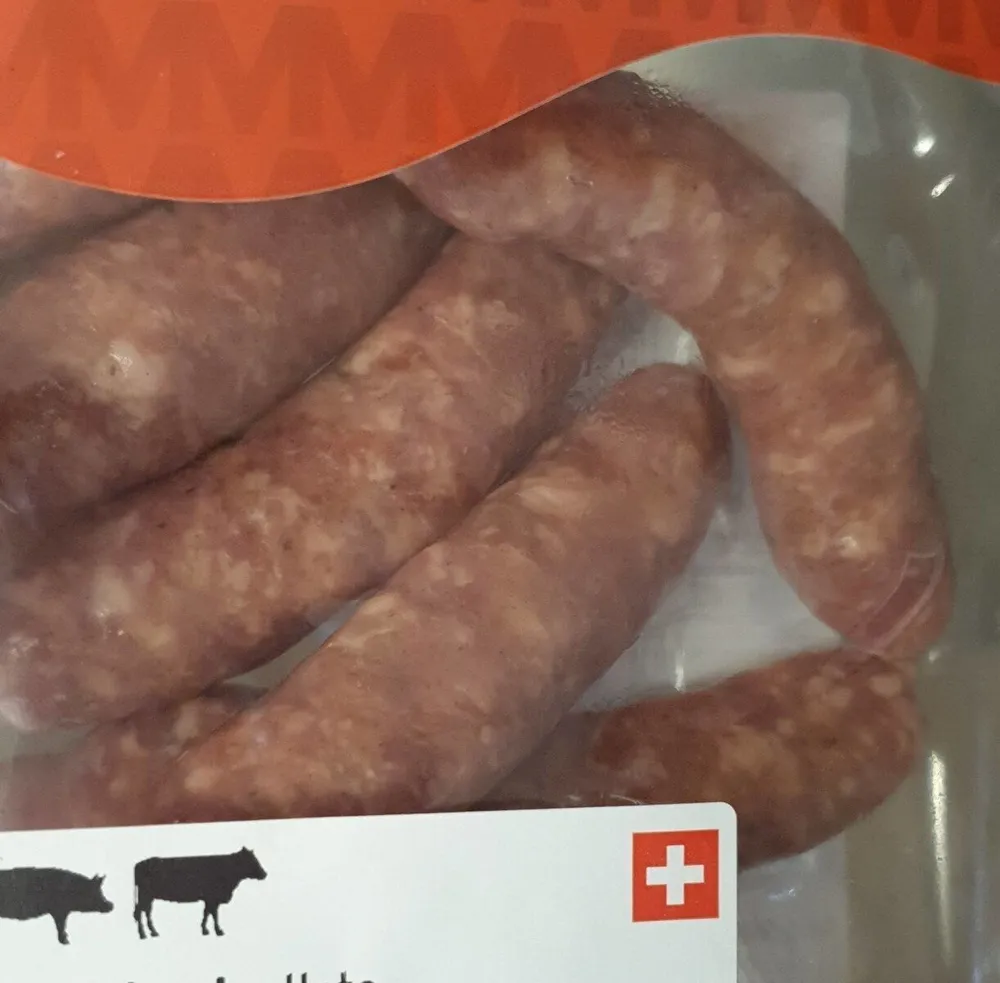 Schweinscipollata