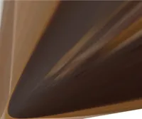 Tartelette al cioccolato e caramello