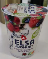 Yogourt Baies des bois