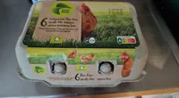 Schweizer Bio-Eier