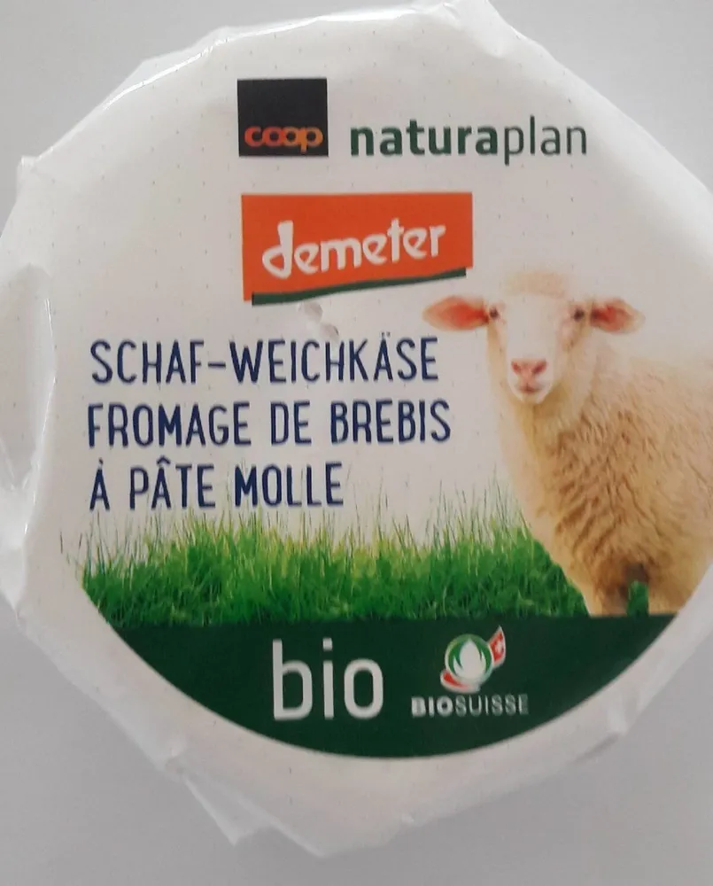 Fromage de brebis
