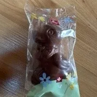 Lapin de pâques au chocolat au lait